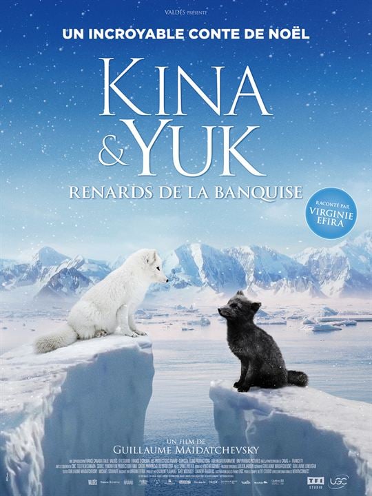 Kina & Yuk : renards de la banquise : Affiche