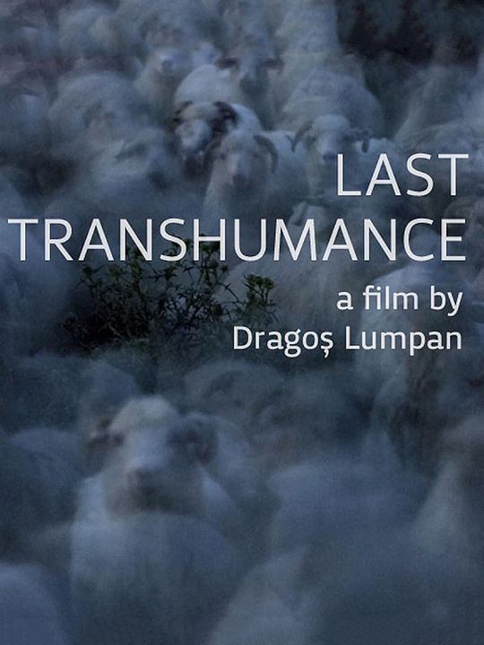 La Dernière transhumance : Affiche