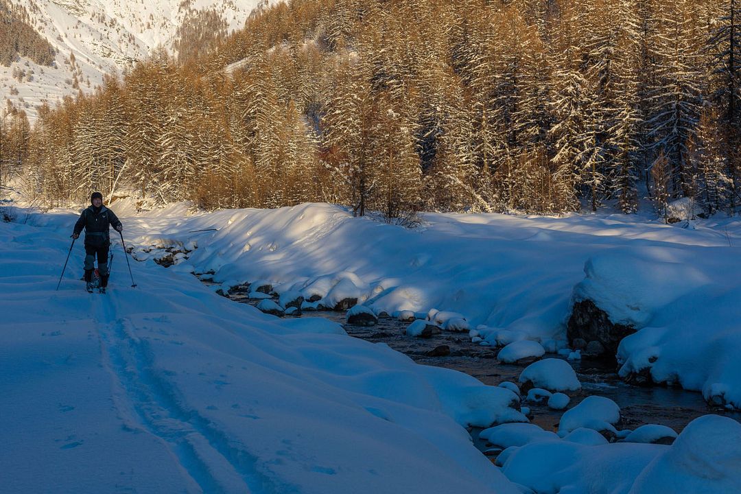 Vivre avec les loups : Photo