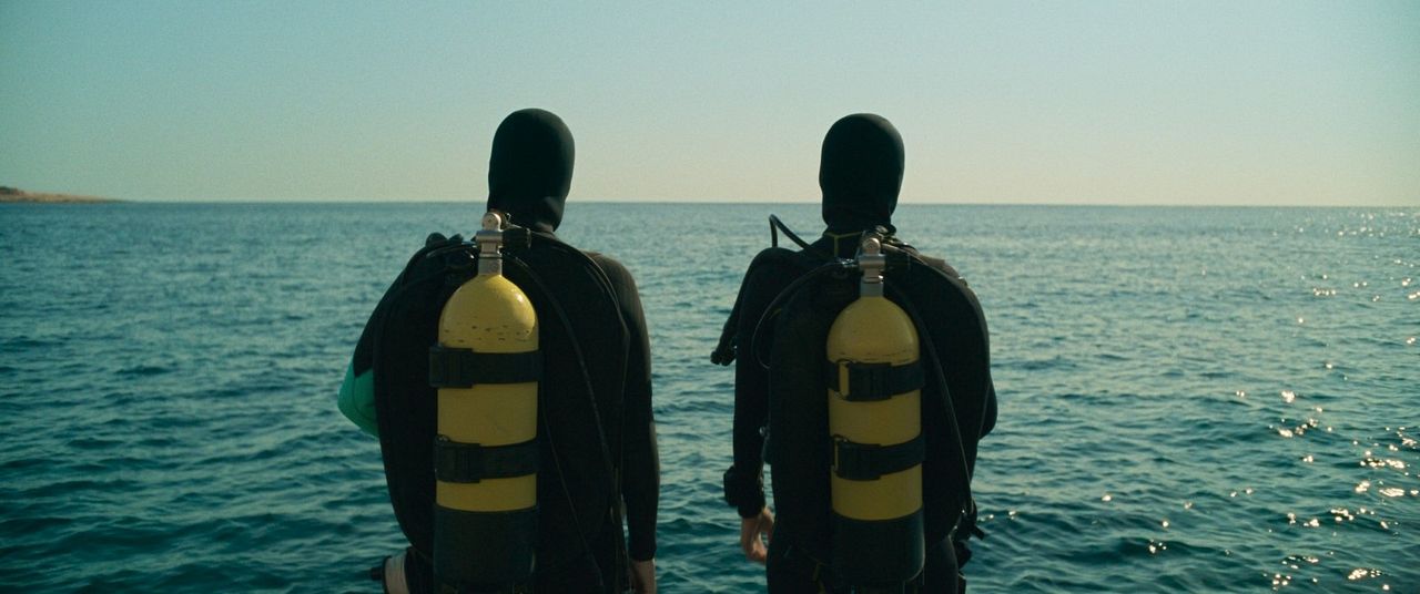The Dive : Photo