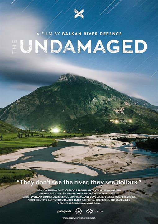 The Undamaged : Affiche