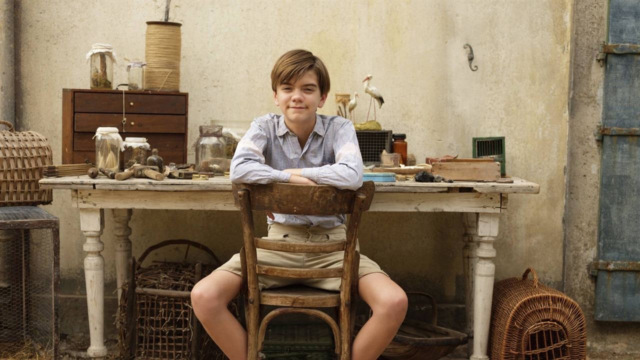 The Durrells : une famille anglaise à Corfou : Affiche