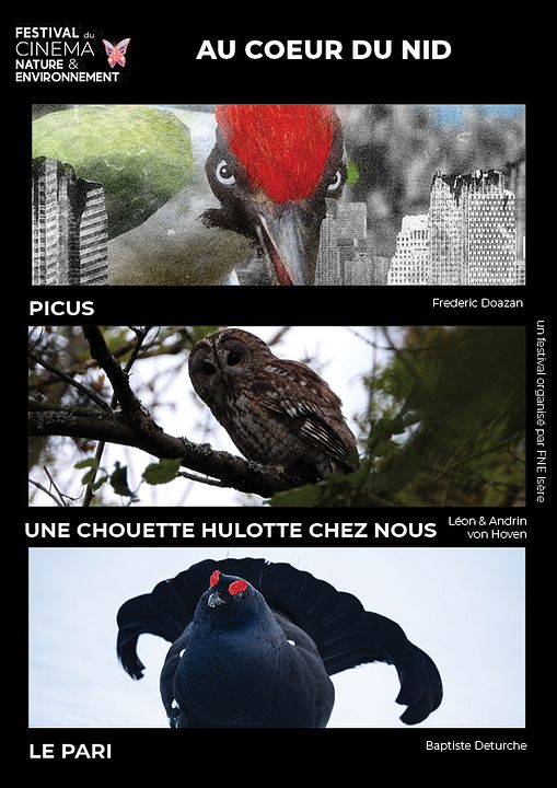 Au cœur du nid : Affiche