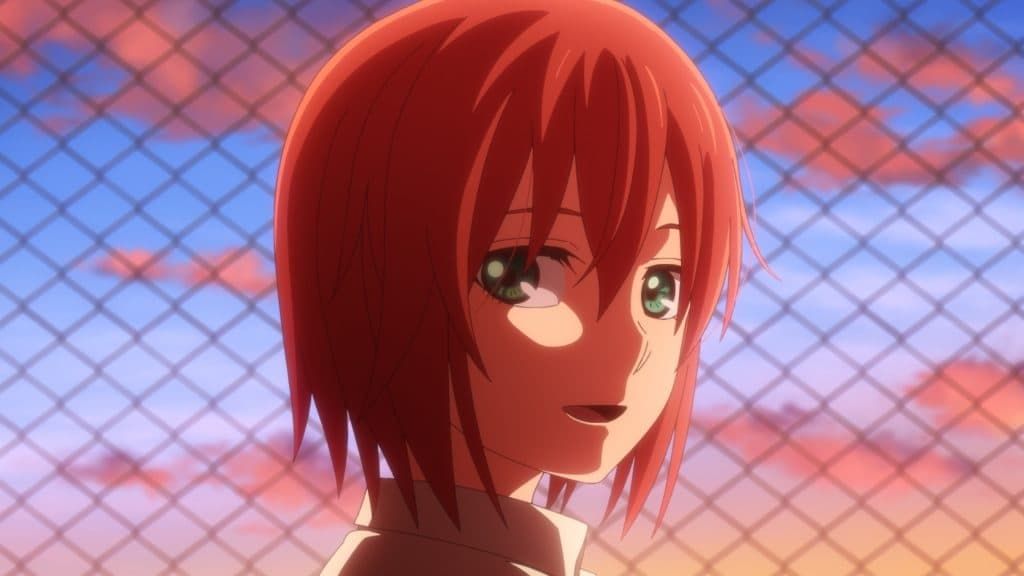 The Ancient Magus' Bride : Affiche
