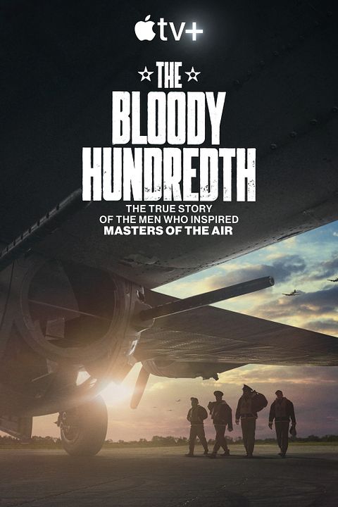 The Bloody Hundredth : la 100e escadre : Affiche