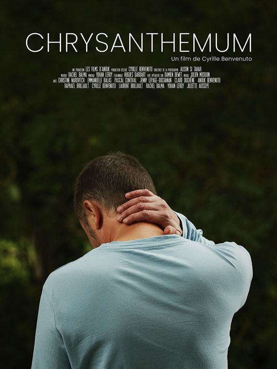 Chrysanthemum : Affiche