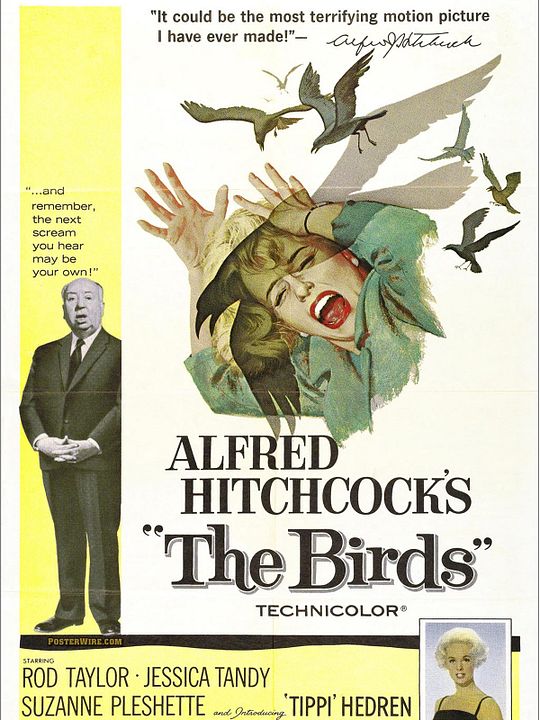 Les Oiseaux : Affiche