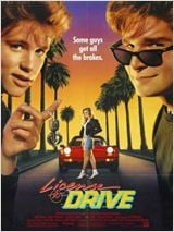 License to drive