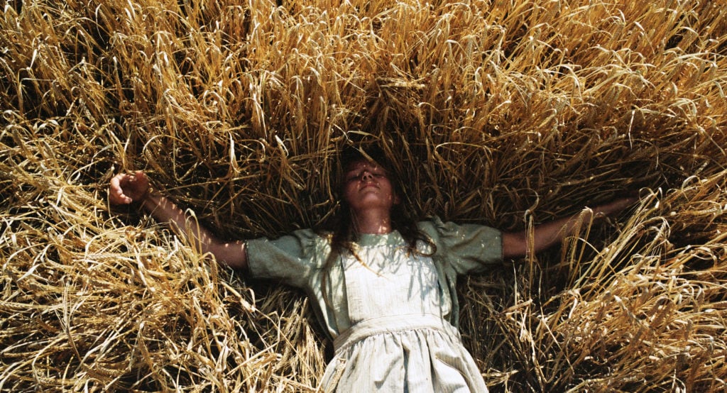 La jeune protagoniste est allongée, les bras écartés, au milieu d'un champ d'épis de blé