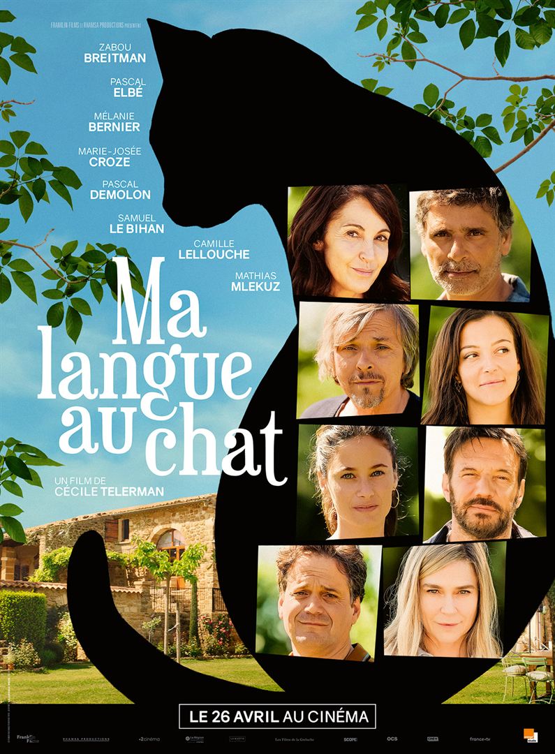 Affiche film MA LANGUE AU CHAT