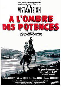 Affiche du film A l'ombre des potences