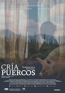 Affiche du film Cría puercos