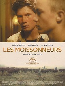 Affiche du film Les Moissonneurs