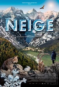 Affiche du film Snow (Neige)