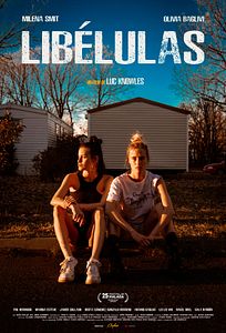 Affiche du film Libélulas