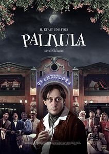 Affiche du film Il était une fois Palilula