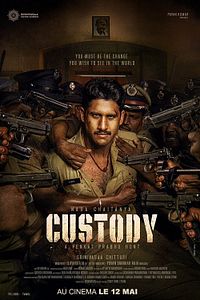 Affiche du film Custody