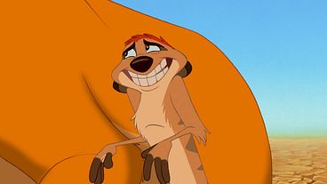 guilty timon