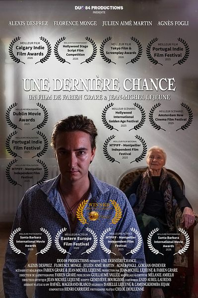 Affiche du film Un incroyable talent