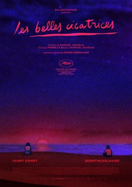 Affiche du film Les Belles Cicatrices