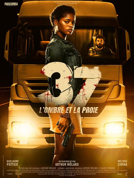 Affiche du film 37 - L'Ombre et la Proie