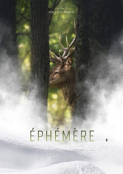 Affiche du film Gloire éphémère