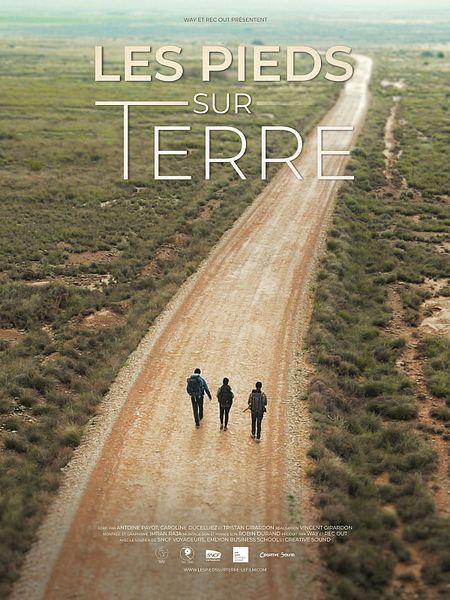 Affiche du film Les pieds sur terre