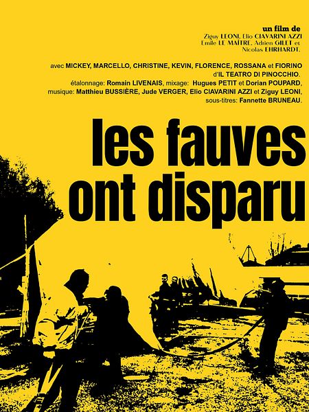 Affiche du film Les Fauves ont disparu