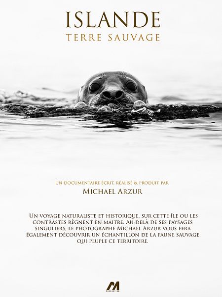 Affiche du film Islande, Terre Sauvage