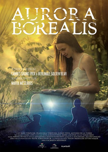 Affiche du film Aurora Borealis : Északi fény