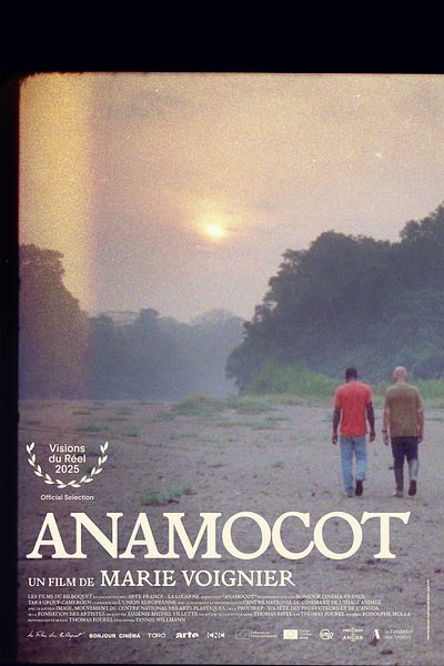 Affiche du film Anamocot, la réponse de la mygale