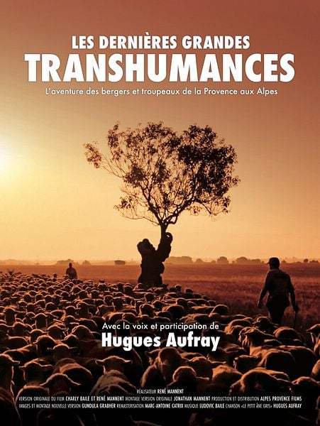 Les Dernières Grandes Transhumances