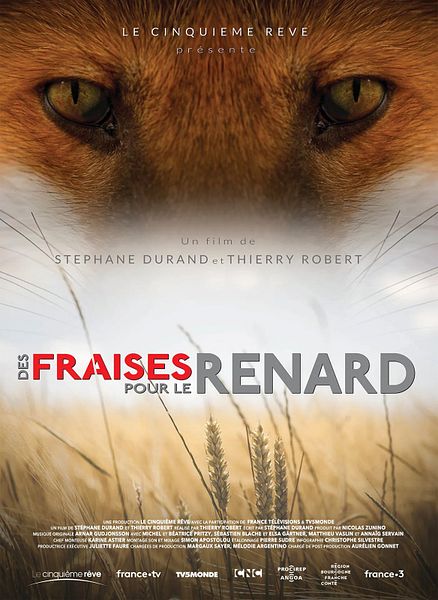 Affiche du film Des fraises pour le renard