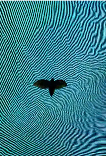 Affiche du film Video EssAI. Carte blanche au groupe de recherche-création « The Video Essay: Memories, Ecologies , Bodies »