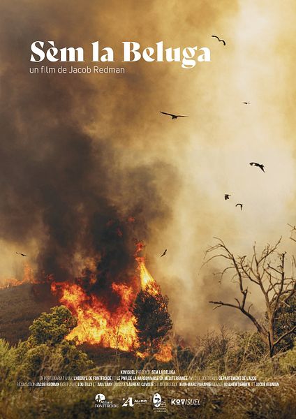 Affiche du film SEM LA BELUGA