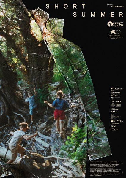 Affiche du film Short Summer