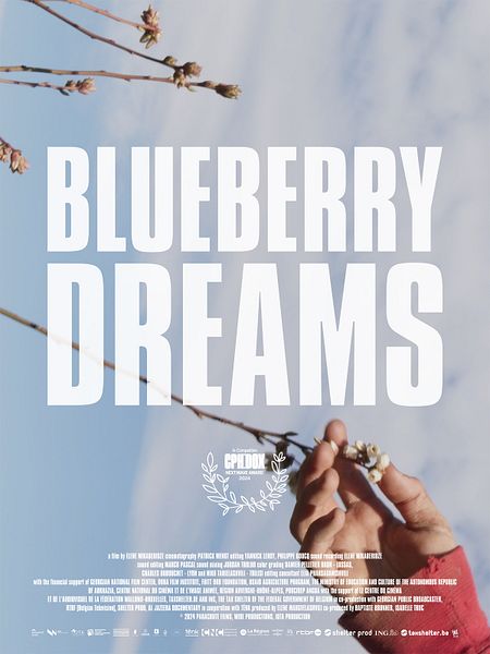Affiche du film Blueberry Dreams