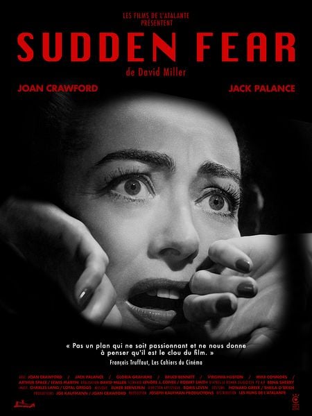 Affiche du film Le Masque arraché