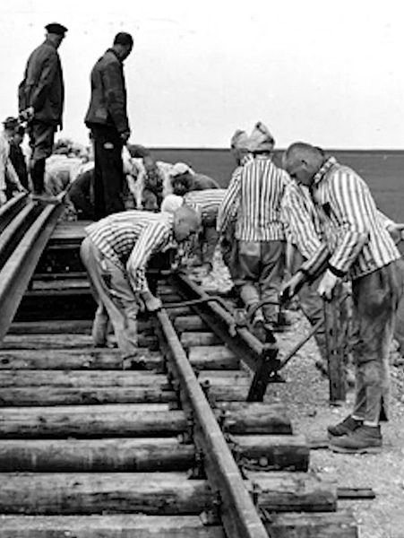 Affiche du film Triangles Rouges à Buchenwald
