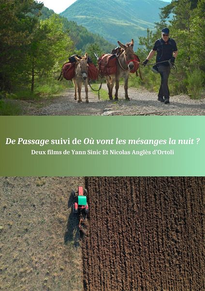 Affiche du film De Passage + Où vont les mésanges la nuit ?
