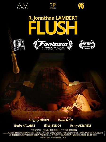 Affiche du film Flush