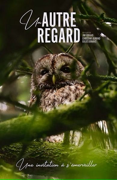 Affiche du film Un autre regard