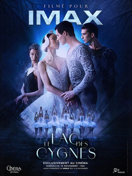 Affiche du film Le lac des cygnes