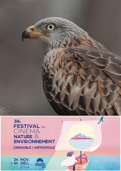Affiche du film Solidarité : Action Réaction – Festival du Cinéma Nature et Environnement  2024