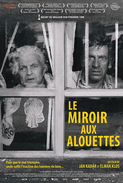 Affiche du film Le miroir aux alouettes