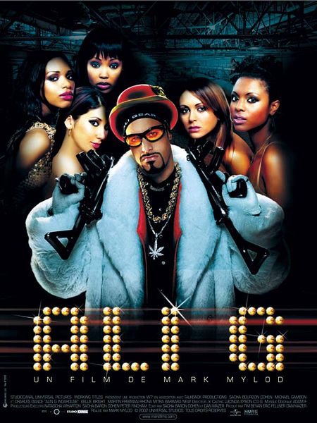 Affiche du film Ali G