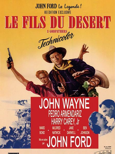 Affiche du film Le Fils du désert