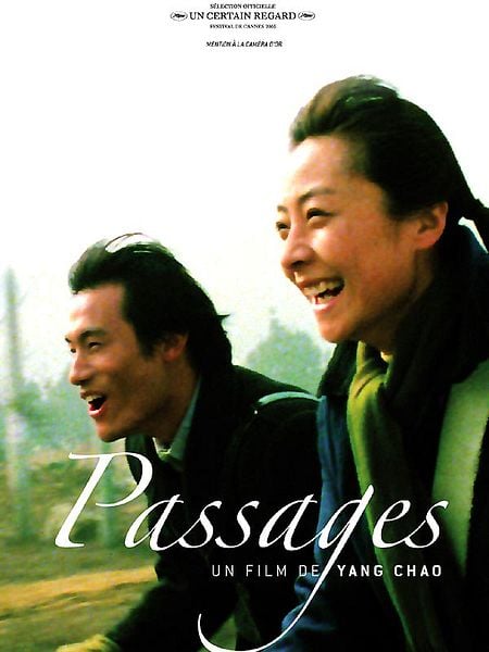 Affiche du film Passages