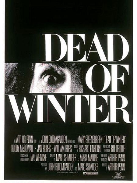 Affiche du film Froid comme la mort