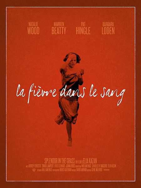 Affiche du film La Fièvre dans le sang